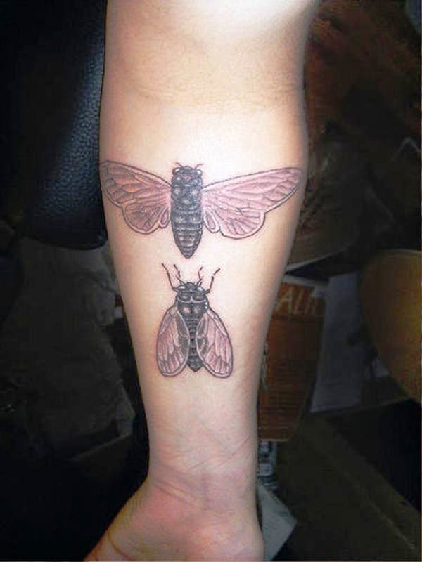 Fantastic Bee Tattoo On Wrist
