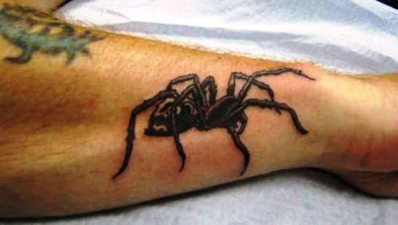 Spider Tattoo On Right Wrist